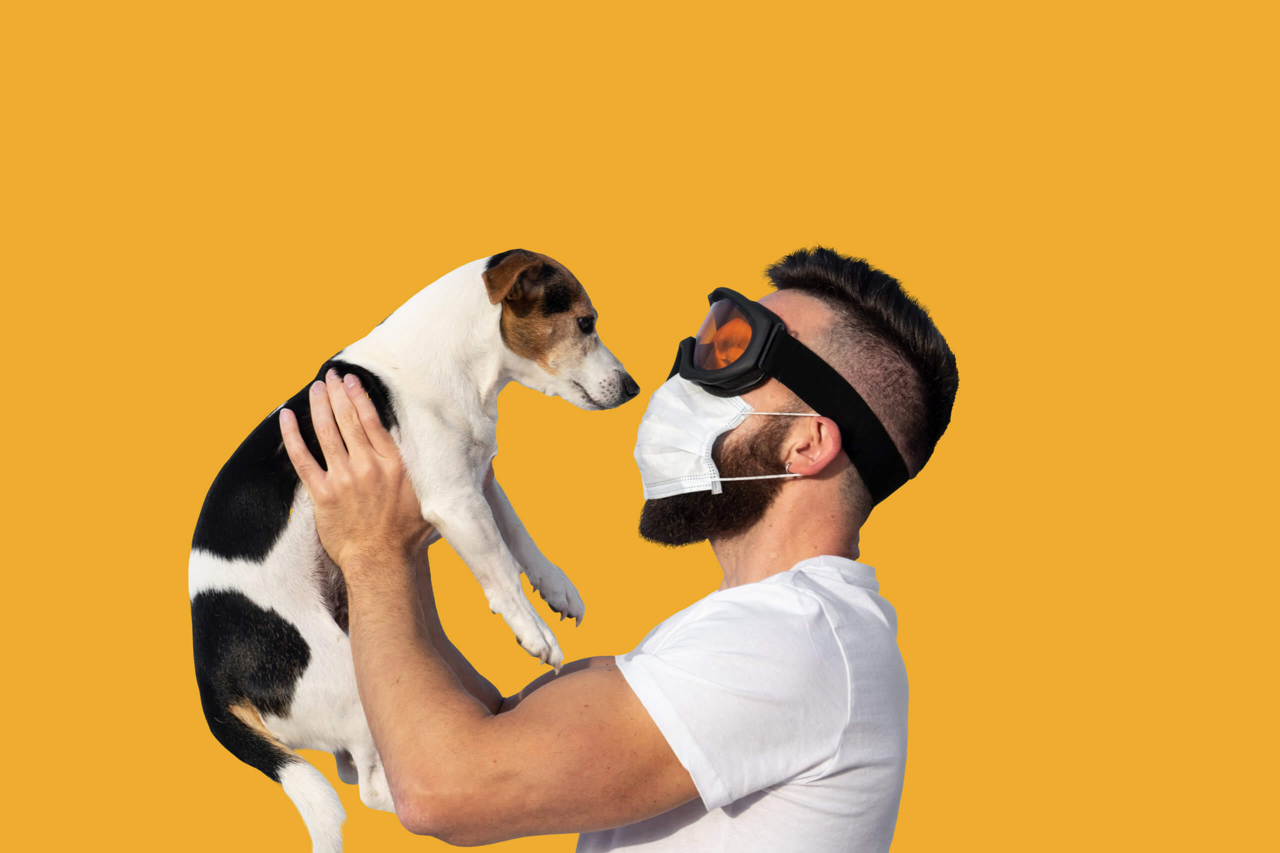 Caucasian bearded man in face mask and protective glasses holding up cute dog jack russell near face. Concept of pet allergy or dog smell in house